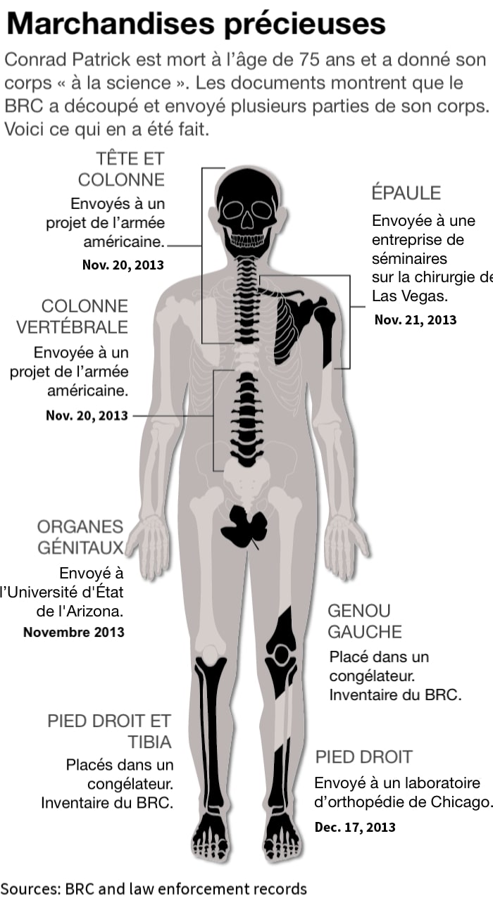 marche membres corps humains enquete brc graphique