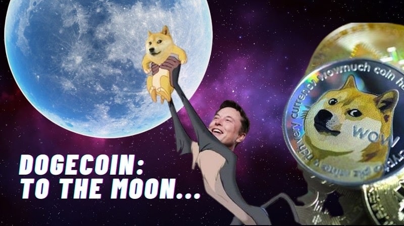 meme elon musk dogecoin lune