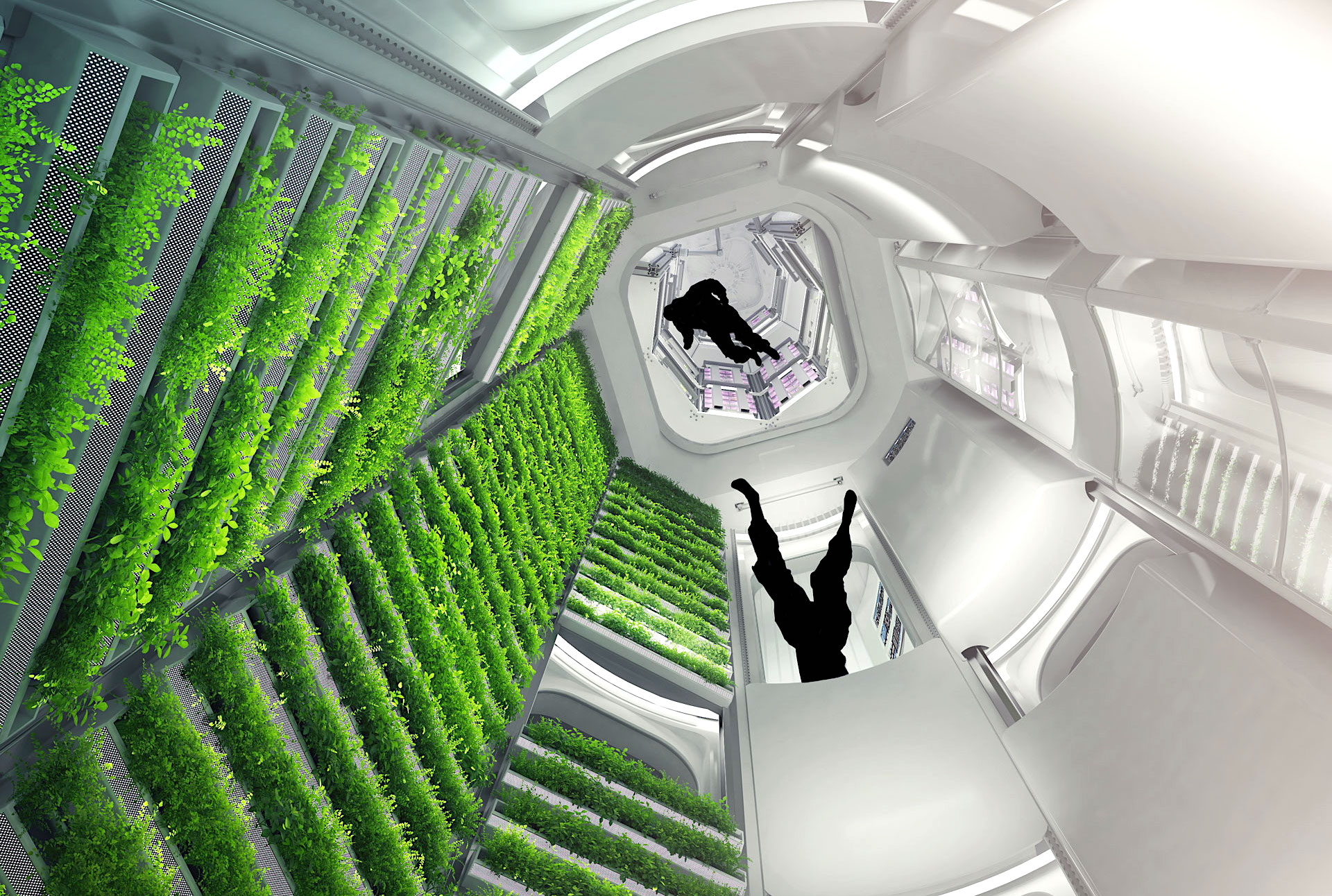 module recherche hydroponie orbital reef