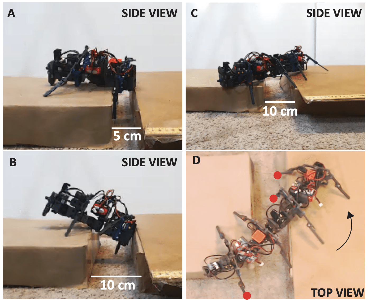 passage obstacles robots quadrupedes essaim