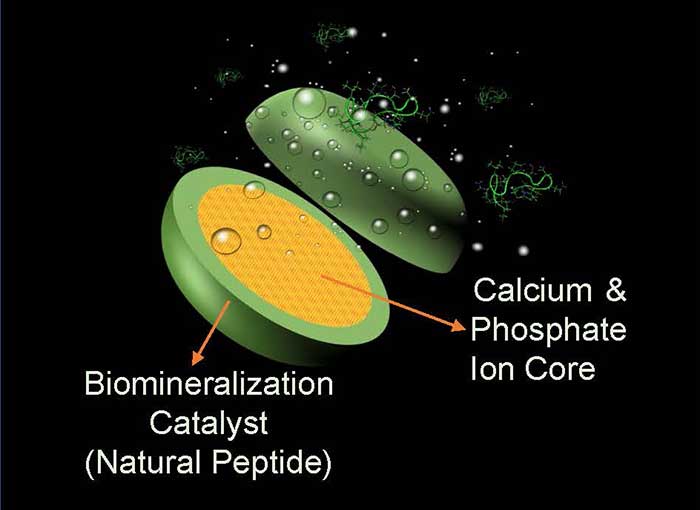 pastille reconstruction email dentaire