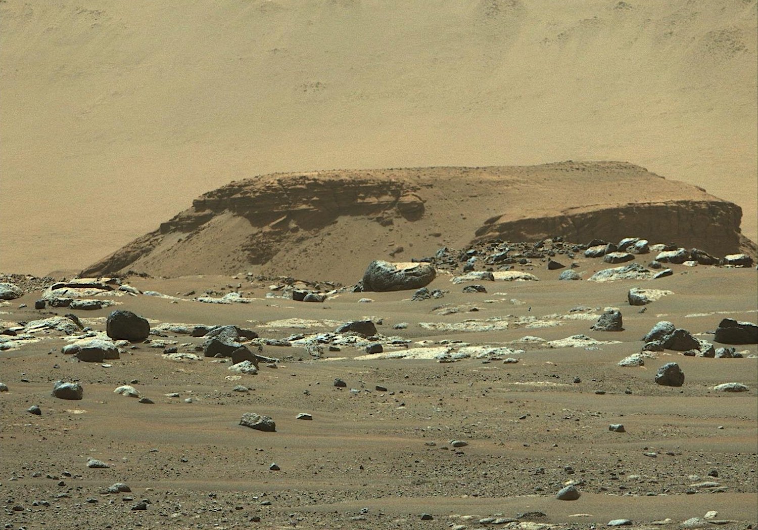 perseverance kodiak delta