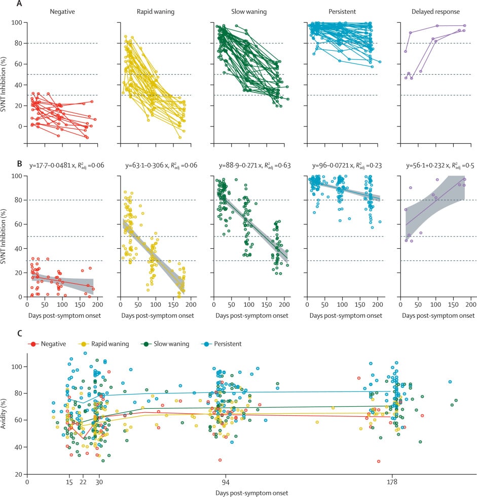 persistance anticorps coronavirus temps