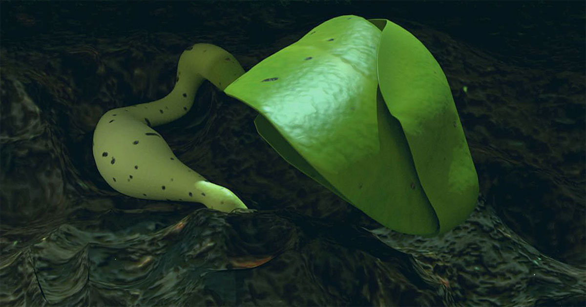 plante deux feuilles mission lune change 4