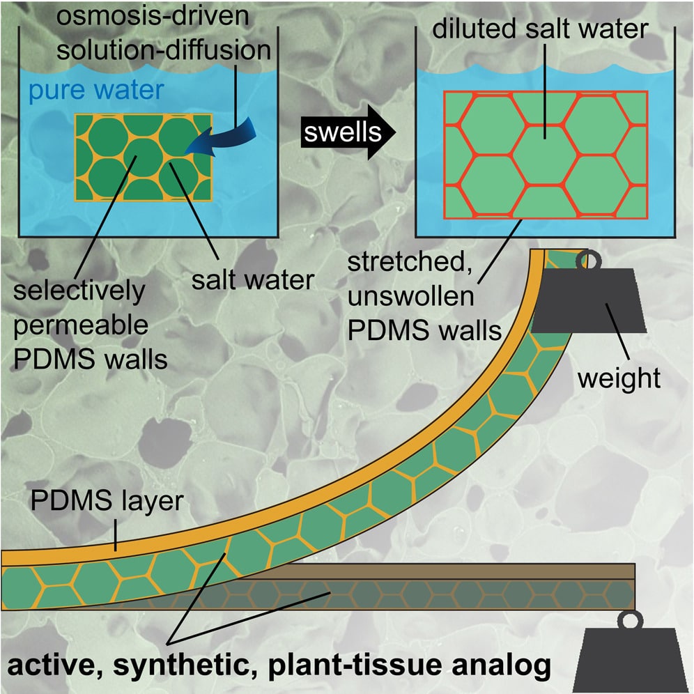 pta materiau absorbant eau schema experience