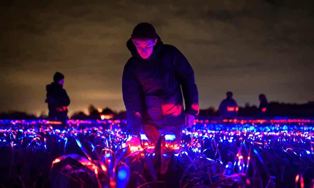 roosegaarde grow eclairage cultures lumiere stimulation
