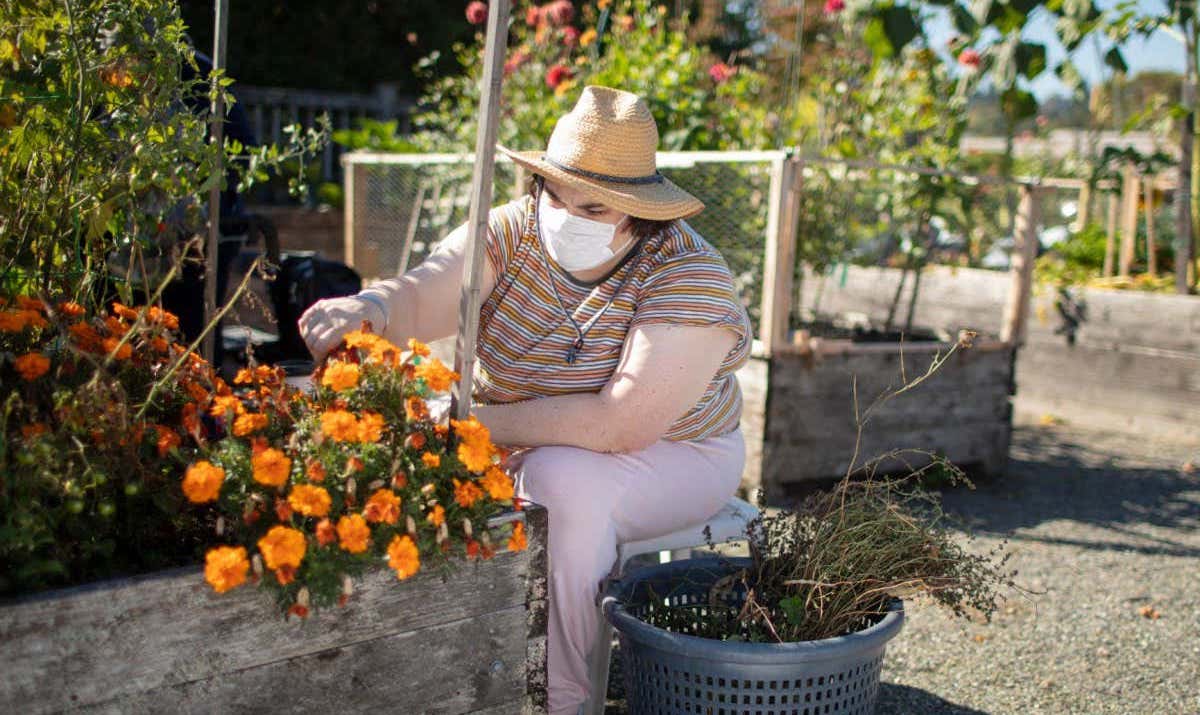 sarah depression traitement implant neuronal