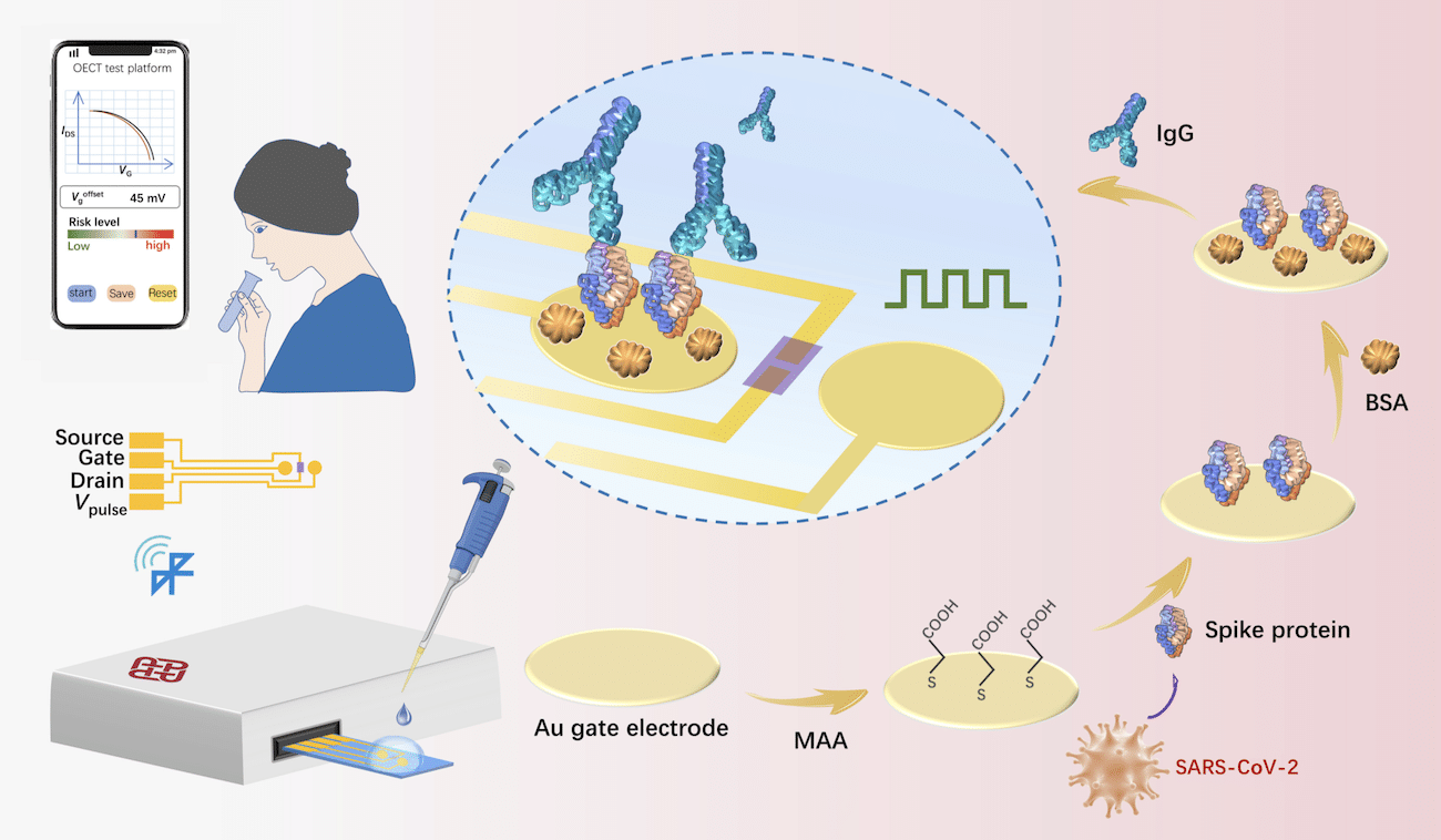 schema detecteur anticorps covid portable