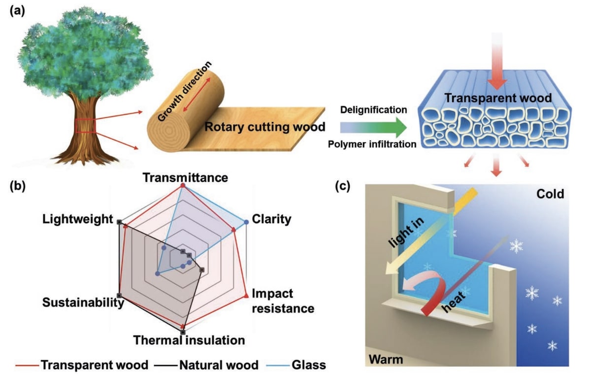 schema fabrication bois transparent 2020