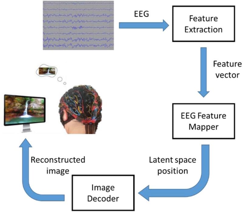 schema general simplifie systeme lecture eeg reconstruction image