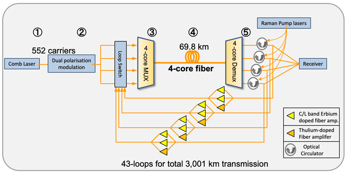 schema systeme transmission 319 tb/s japon