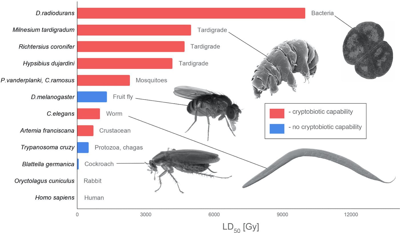 selection animaux resistants voyage interstellaire