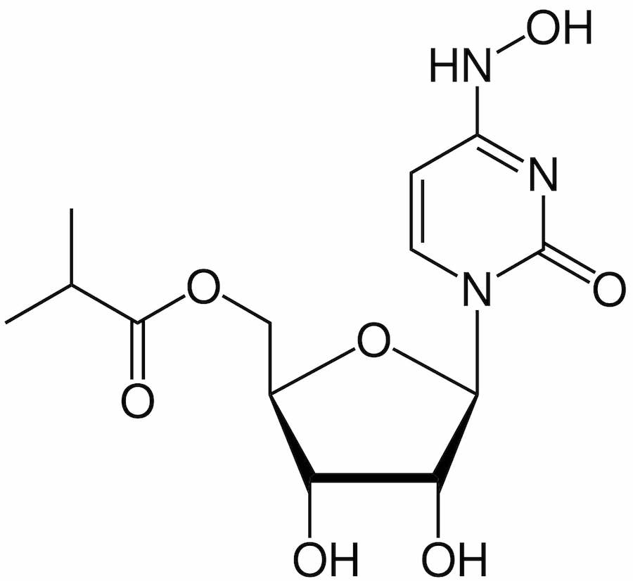 structure molnupiravir
