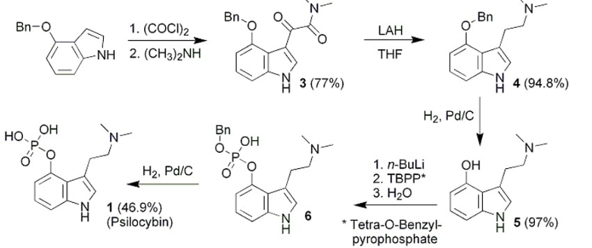 synthese psilocybine