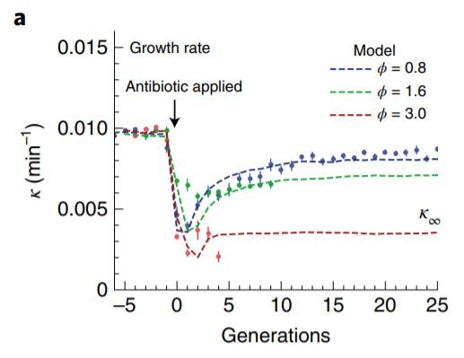 taux croissance bacteries selon concentration antibiotiques
