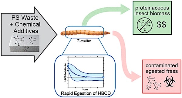 ver farine conversion dechets plastiques produits chimiques