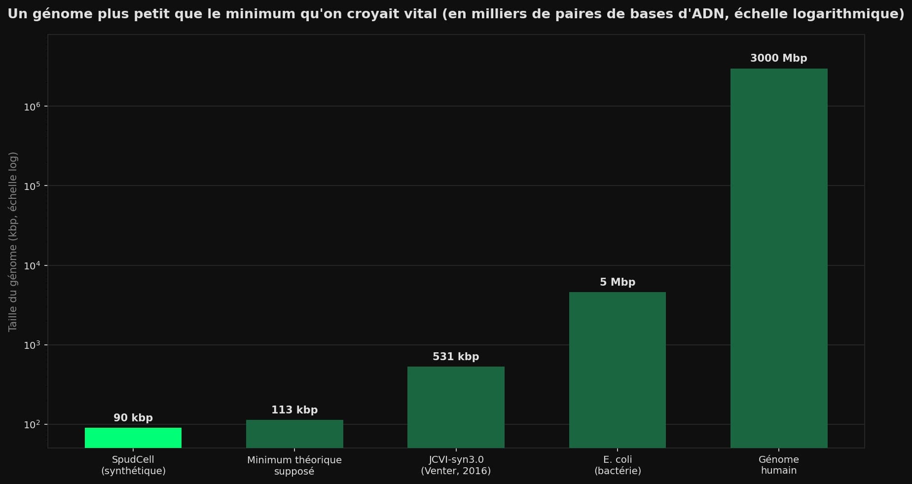 Graphique en barres comparant la taille des génomes : SpudCell 90 kbp, minimum théorique 113 kbp, JCVI-syn3.0 531 kbp, E. coli 4 600 kbp, génome humain 3 000 000 kbp, sur échelle logarithmique