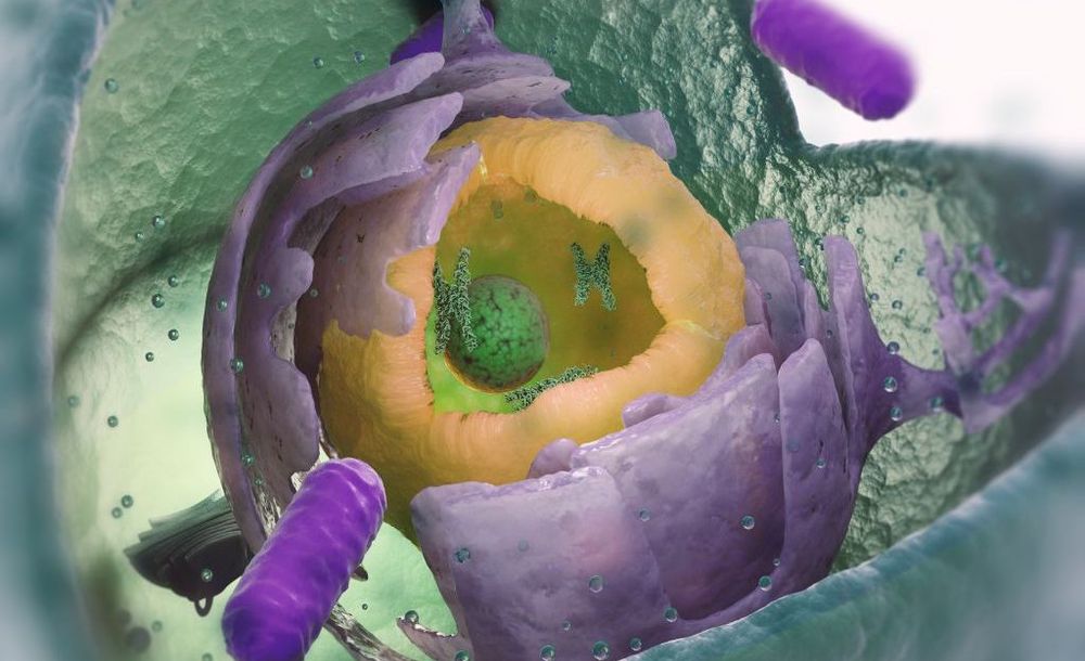 Cet étrange organisme des profondeurs pourrait cacher des secrets sur les origines de la vie complexe sur Terre