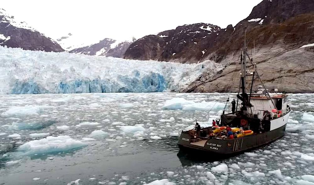 Les glaciers d'Alaska fondent beaucoup plus vite que les scientifiques ne le pensaient