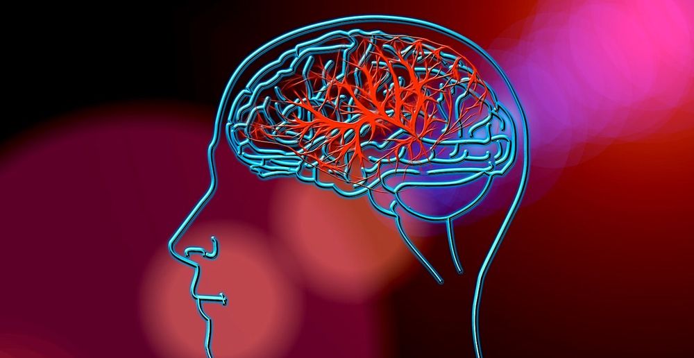 La maladie d'Alzheimer serait provoquée par la mutation d'une enzyme commune