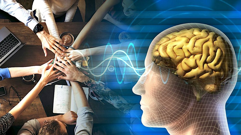 Des chercheurs auraient identifié les états cérébraux propres au "flow d'équipe", une zone d'efficacité accrue en équipe
