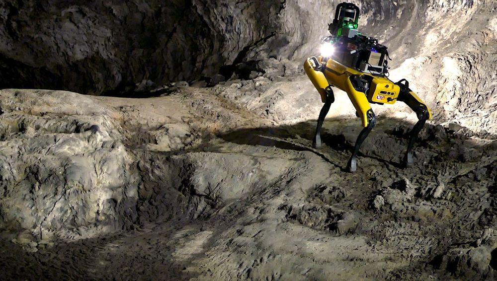 Le chien robot de Boston Dynamics sera probablement envoyé sur Mars