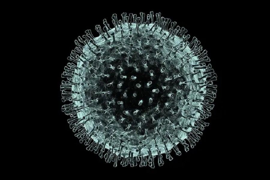 Le coronavirus de Wuhan se propagerait également par voie fécale