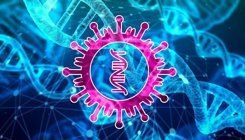 COVID : d'infimes variations génétiques peuvent dicter la gravité de la maladie