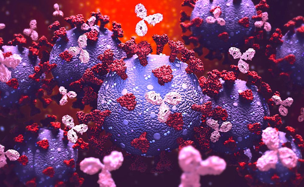 COVID-19 : vous pourrez bientôt savoir si vous êtes (vraiment) immunisé