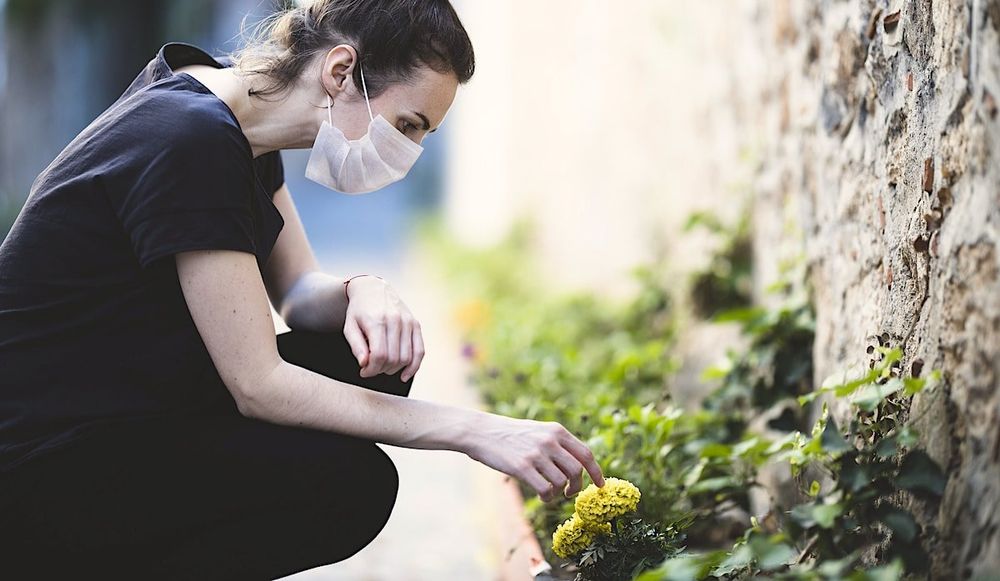 À quel point les mesures de confinement ont-elles permis à la nature de se rétablir ?