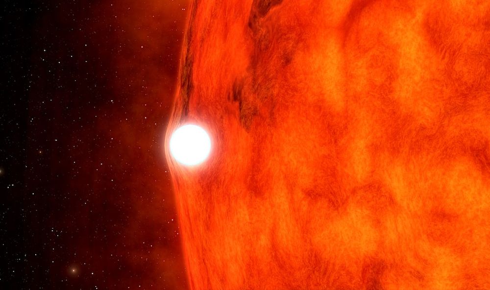 Des astronomes ont repéré une étoile naine blanche qui ne devrait pas exister selon les modèles actuels