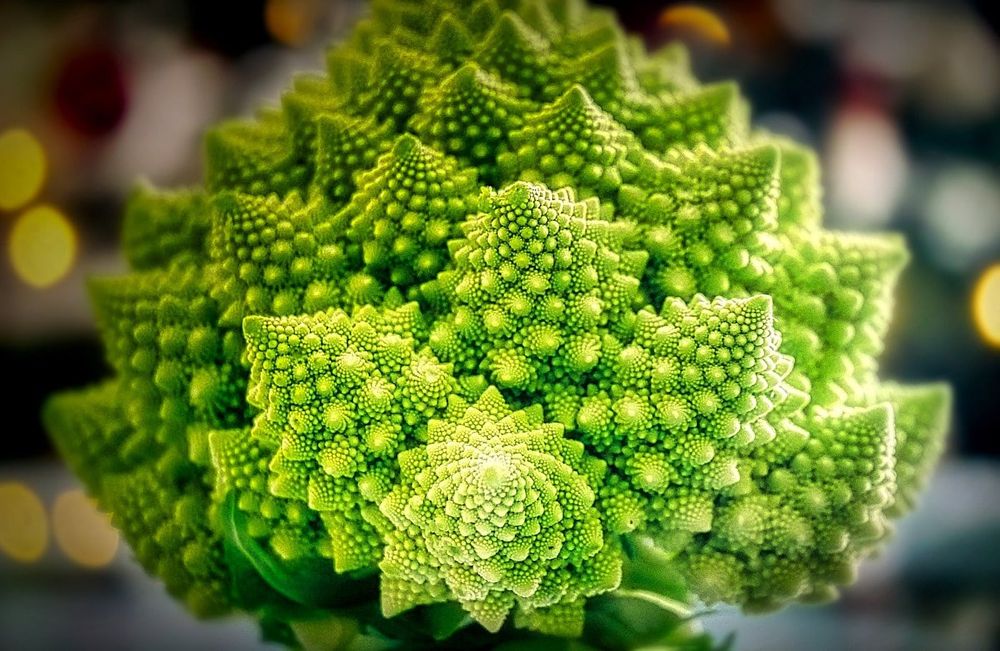 Une étude révèle qu'à l'âge de 3 ans déjà, les enfants préfèrent les motifs fractals de la nature