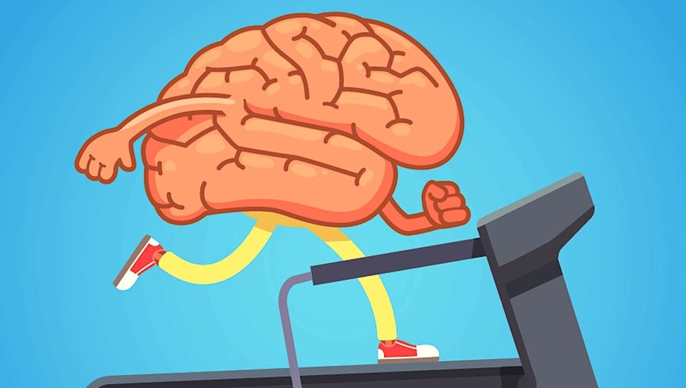 L'exercice physique améliore le fonctionnement cérébral et aiderait à combattre Alzheimer