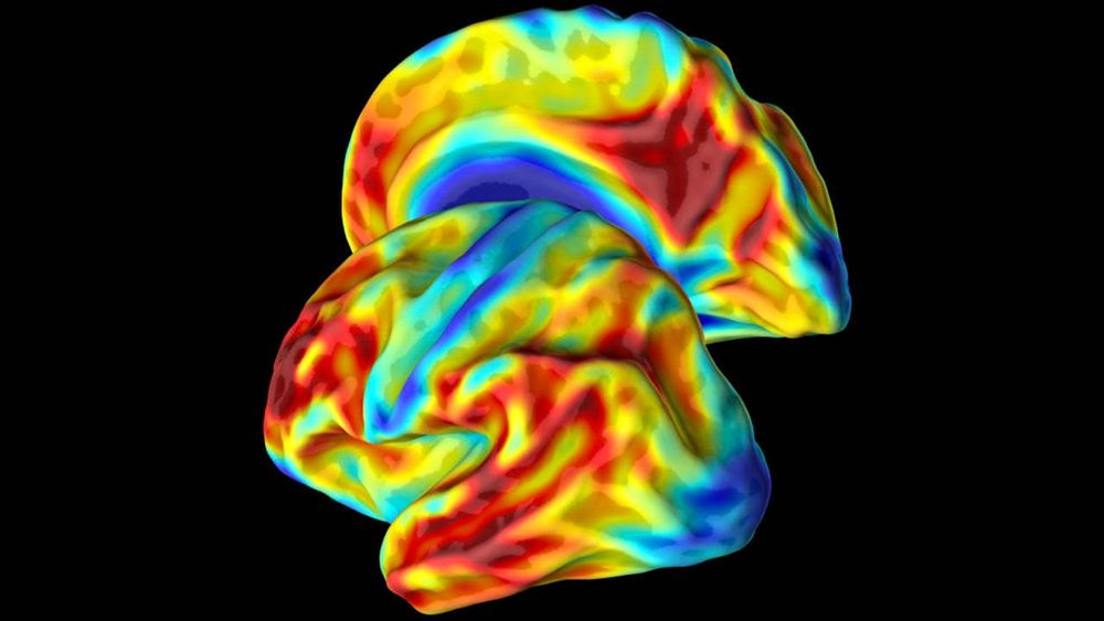 Les gènes d'une femme colombienne offrent de nouveaux indices pour lutter contre la maladie d'Alzheimer