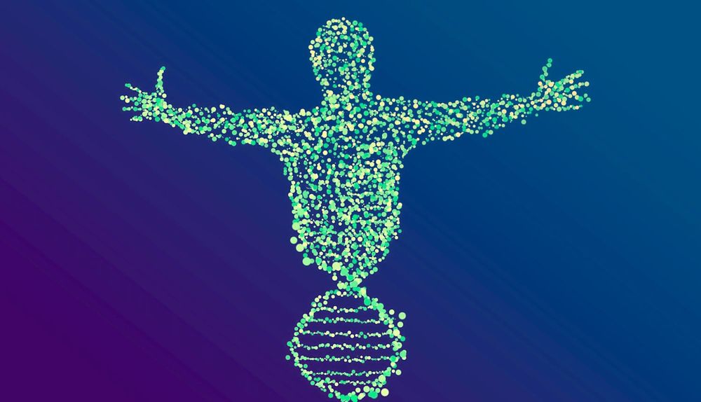 Le génome humain a enfin été entièrement séquencé, après 20 ans de recherche