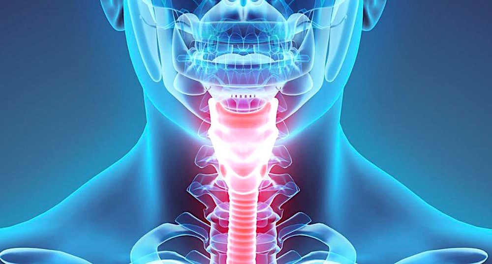 Ces "cordes vocales" artificielles pourraient un jour permettre aux personnes muettes de parler à nouveau