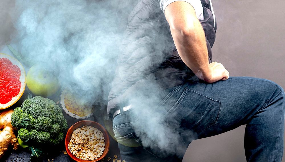 Les hommes ont plus de flatulences lorsqu'ils suivent un régime à base de plantes en raison des bonnes bactéries intestinales