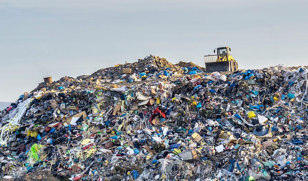 Une IA identifie avec précision et en un instant si un objet peut être recyclé ou non