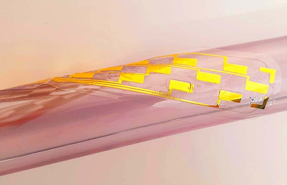 Un implant gonflable injectable dans la colonne vertébrale pour soulager la douleur chronique