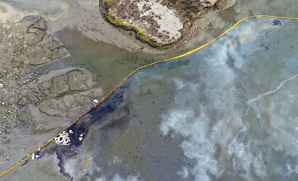 Une marée noire menace la Californie : parmi les pires depuis des décennies