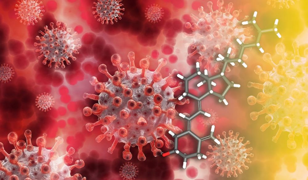 COVID : C'est confirmé, des niveaux adéquats de vitamine D réduisent les complications et les décès