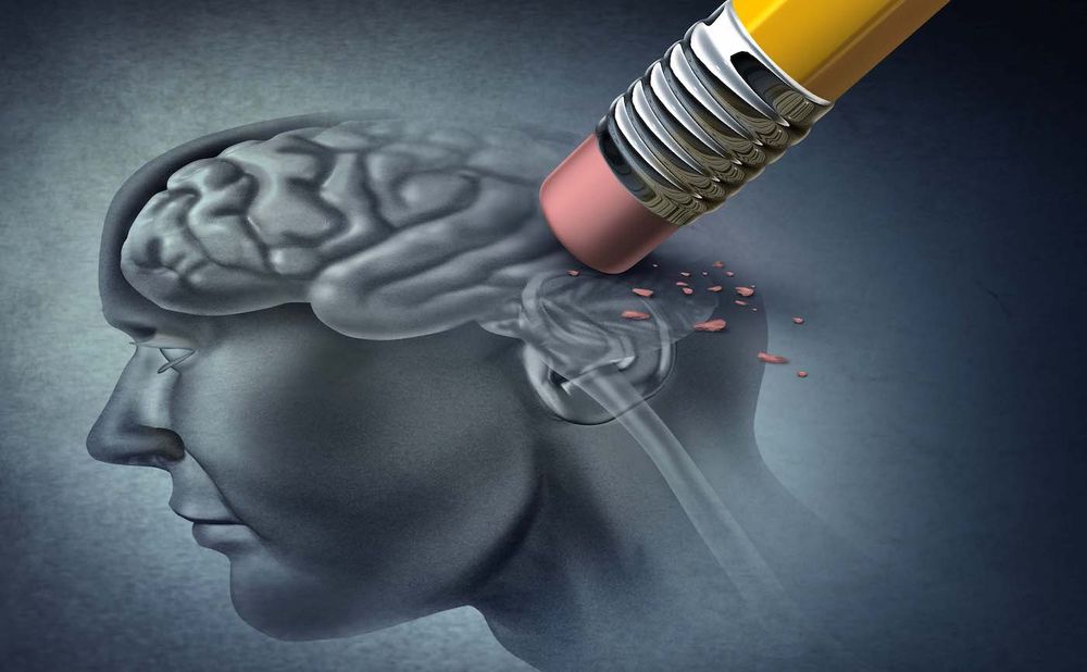 Une nouvelle étude identifie l'une des causes probables de la maladie d'Alzheimer