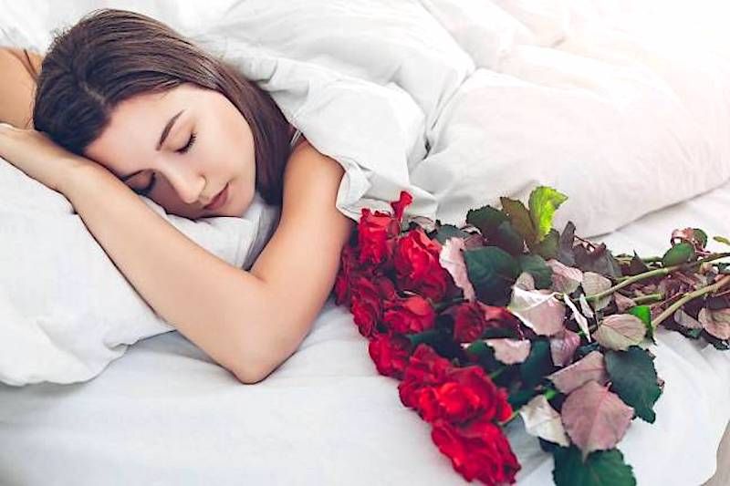 L'odeur d'une rose durant le sommeil améliorerait l'apprentissage
