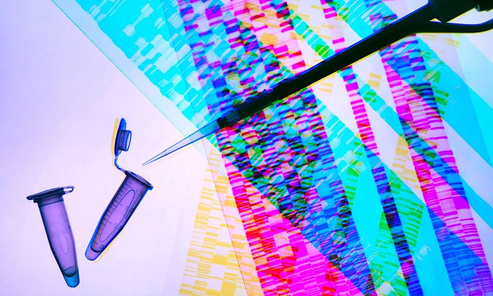 Le Pentagone met en garde ses militaires contre l'utilisation de tests ADN grand public, et cela s'étend à l'ensemble de la population