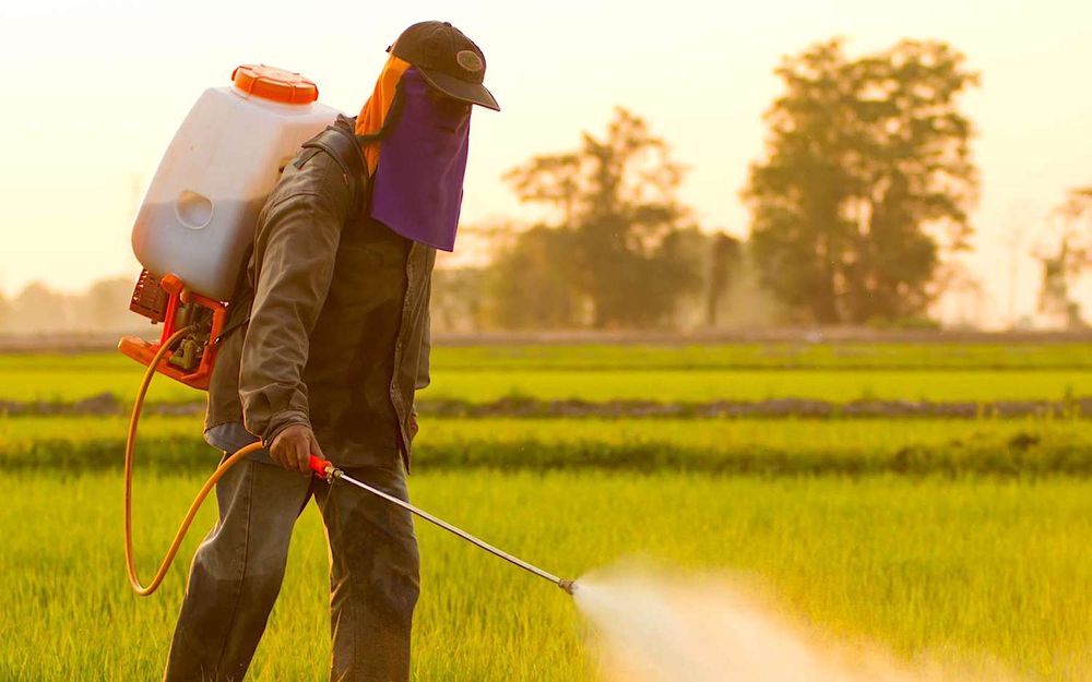 Des pesticides responsables de lésions cérébrales chez les enfants