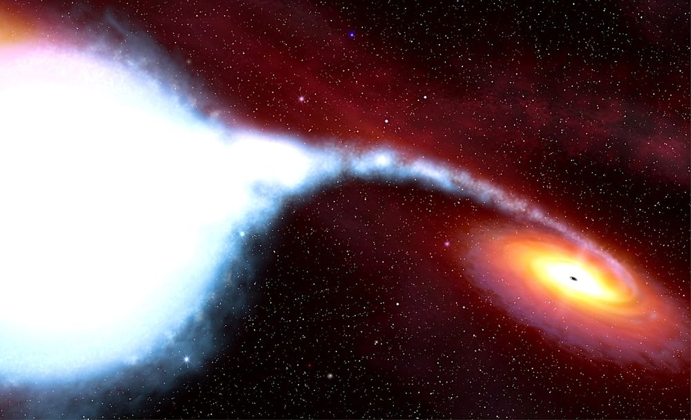 Le premier trou noir jamais détecté est bien plus massif qu'on ne le pensait