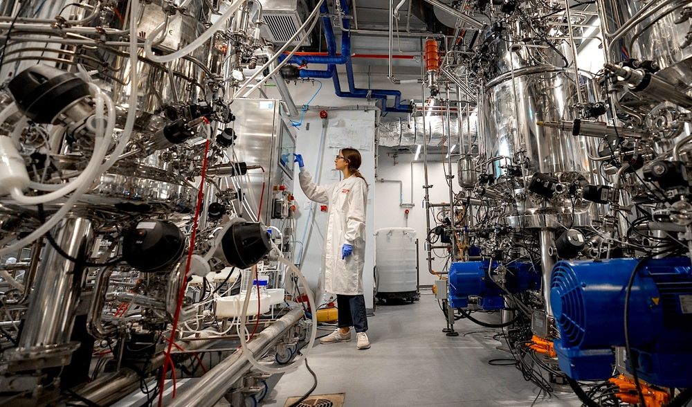 La première usine de viande cultivée en laboratoire au monde vient d'ouvrir ses portes