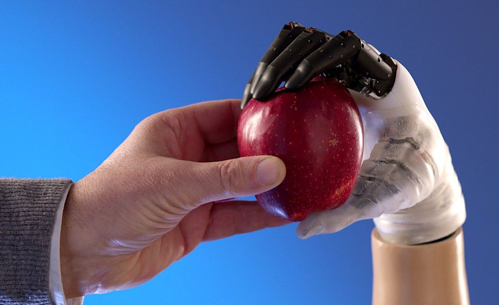 Une nouvelle prothèse de main biomimétique aux capacités proches de la main humaine