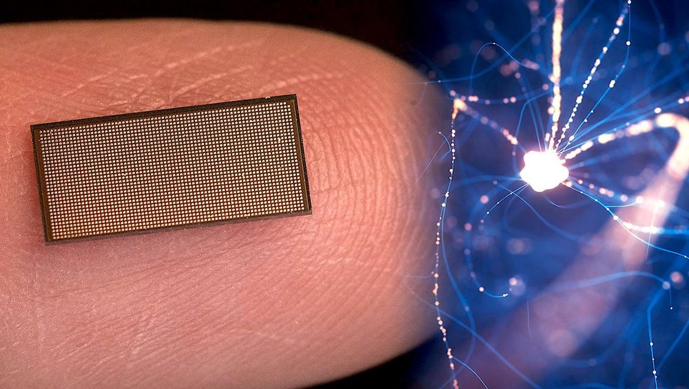 Un nouveau processeur inspiré du cerveau peut contenir un million de neurones artificiels