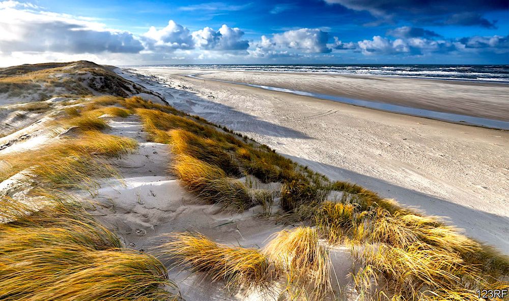 Le sable de chaque plage a sa propre signature sonore, ce qui permet de déterminer sa provenance exacte